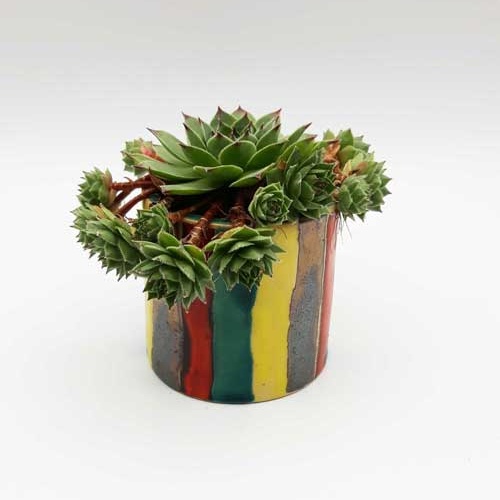 Sada modrých kvetináčov 2